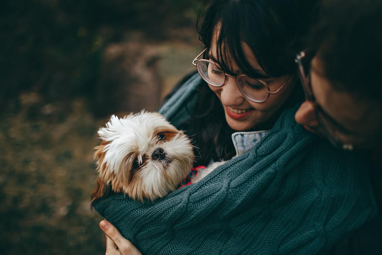 happy-dog-pet